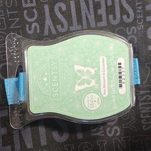 Scentsy Bars